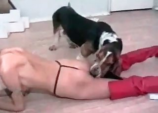 Hunter and submissive zoophile