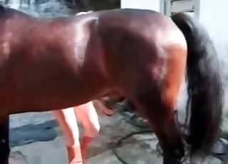 High heels make this horse horny