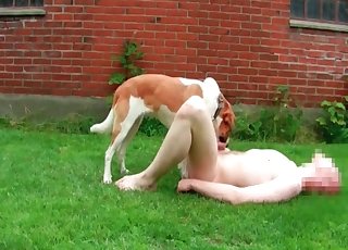 Small puppy and dirty host