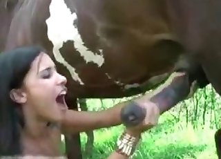 Crazy oral creampie by a stallion
