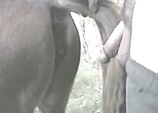 Leisurely banging a uber-cute farm animal