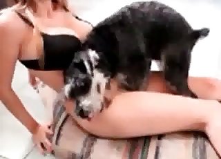 Cunnilingus provided by a puppy