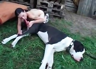 أول تجربة جنسية مع كلب