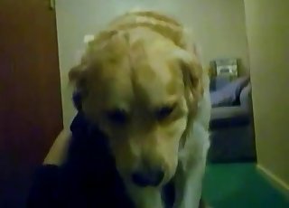 Открываю свою пизду для собачки