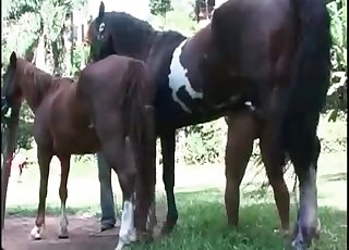 Kinky pervert screwed at the farm