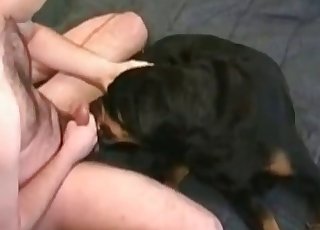 विनम्र कुत्ता वीनर का आनंद लेता है