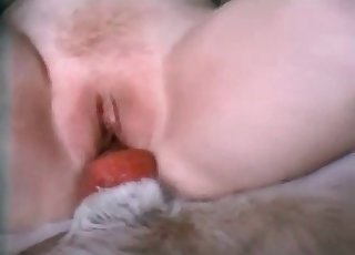 Just jumping on a doggy dong