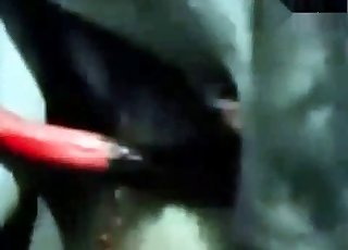 Stunning pony sex compilation