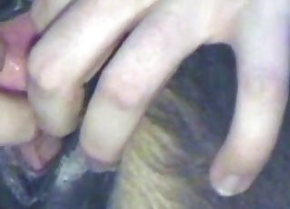 Male zoophile gives a hot rimjob