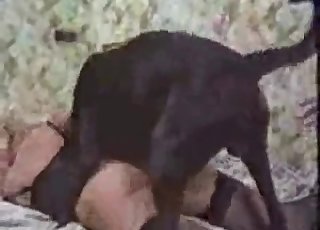 Bedroom is a excellent place for the zoo intercourse