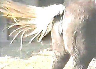 농장 동물과의 추잡한 섹스