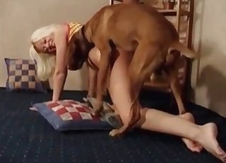 بلیچ شدہ کسبی اپنے جانور کو پسند کرتی ہے۔