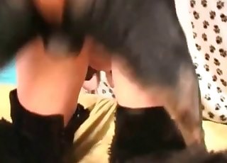Doberman porks an awesome slut