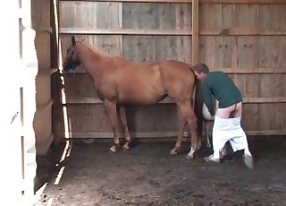 Preparing this white pony for sex