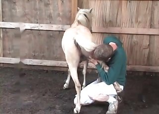 Preparing this white pony for sex