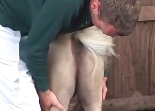 Valmistelee tätä valkoista ponia seksiin