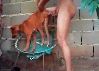 Smallish doggy in the super-fucking-hot animality