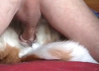 Juicy sperm on my doggy