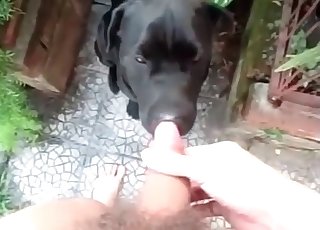 Just spunking on my doggy