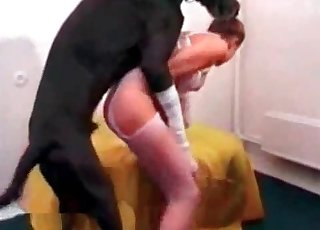 First animality sex practice