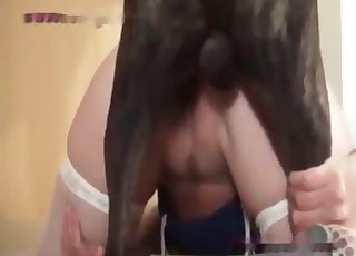 Cô nàng tuyệt vời đang cọ xát và quan hệ với một chú chó