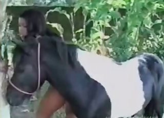 Bestial adventures with a pony