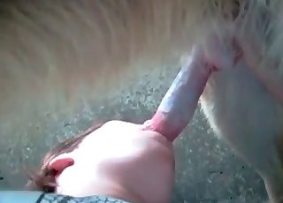 Upside down bestial blowjob