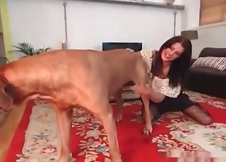 Alza la gonna per un cane