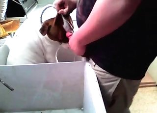 Guilty doggy blows a wiener