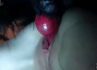 Nasty bestial sex in the close up