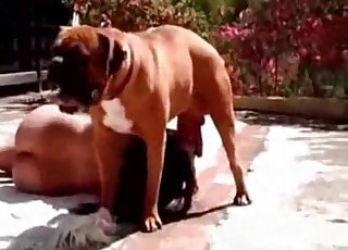 Tanned whore enjoys a rear end dick