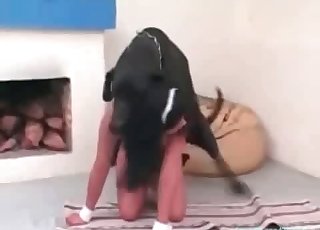 टैन्ड लड़की को एक कुत्ते ने चारों पैरों पर चोदा