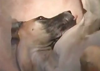 Fast banging with my puppy