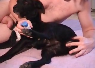 Dog tastes my hard wiener