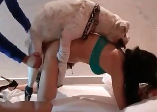 ایک جاپانی کی پہلی جانوروں کی جنس