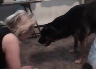 Blonde sucks a mutt cock like a pro