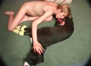 Laying mutt is being sucked hot