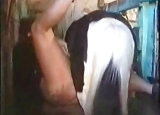 Stallion fucks her appetizing slot