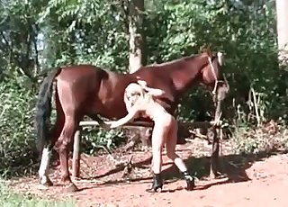 Horse needs a good fellatio