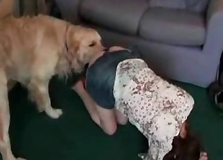 我那愛玩的狗狗很喜歡我