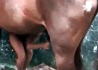 Tanned girl massages a horse