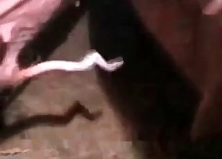 Brutalne ruchanie z bliska