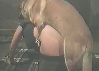 Playful doggy impales my twat