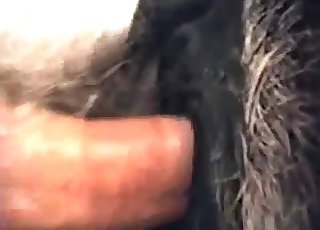 Αγροτική δράση σε κοντινό πλάνο