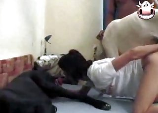 Syrový sex se sexy pejskem