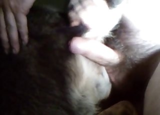 Man with bestiality fetish using his large penis for fun