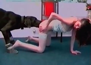 Big Doberman penetrates her twat