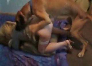 Succulent slut and her nice doggy