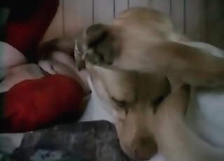 Impressive fuckfest with a hot doggy