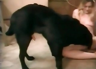 戀獸癖金髮女郎與雜種狗玩耍